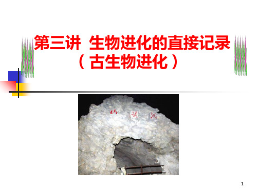 第三讲 生物进化的直接记录(古生物进化)PPT课件