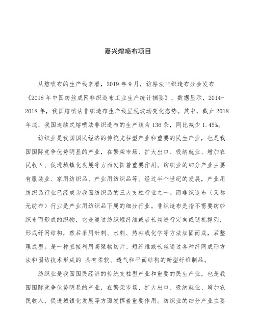 嘉兴熔喷布项目立项申请报告