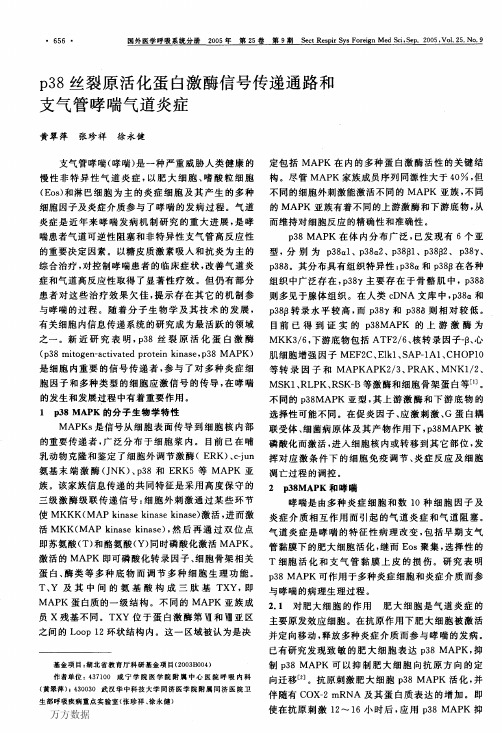 p38丝裂原活化蛋白激酶信号传递通路和支气管哮喘气道炎症