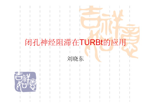 闭孔神经阻滞