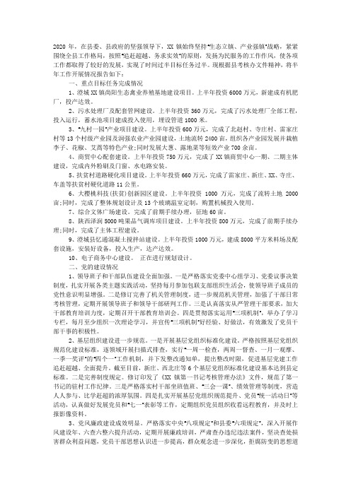 镇2020年上半年工作总结及下半年打算.docx