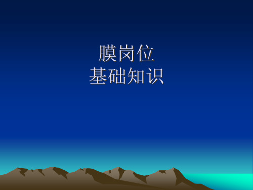 膜岗位基础知识培训