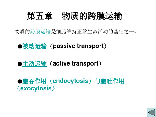 细胞生物学概论：第五章 物质的跨膜运输