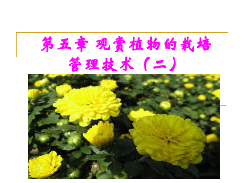 第五章观赏植物的栽培技术(二)