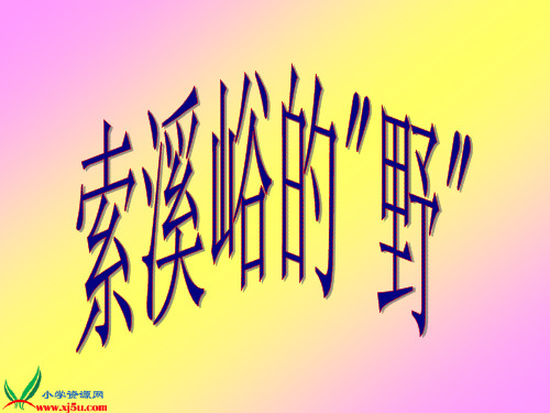 北京版五年级语文下册《索溪峪的“野” 5》PPT课件