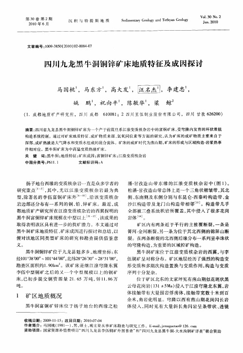四川九龙黑牛洞铜锌矿床地质特征及成因探讨