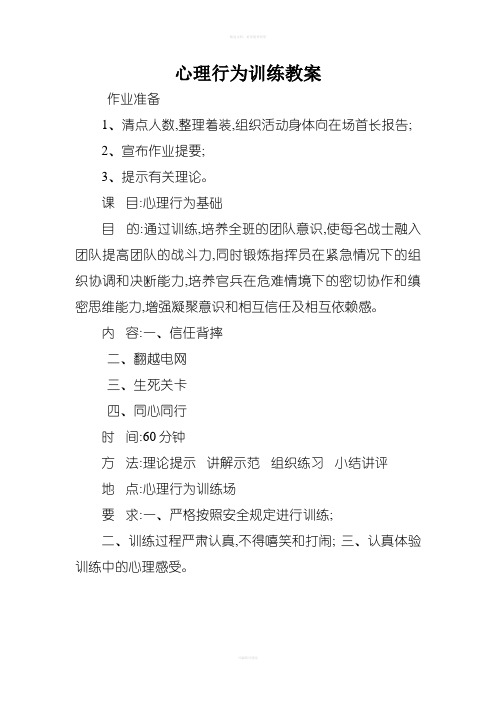 心理行为训练教案
