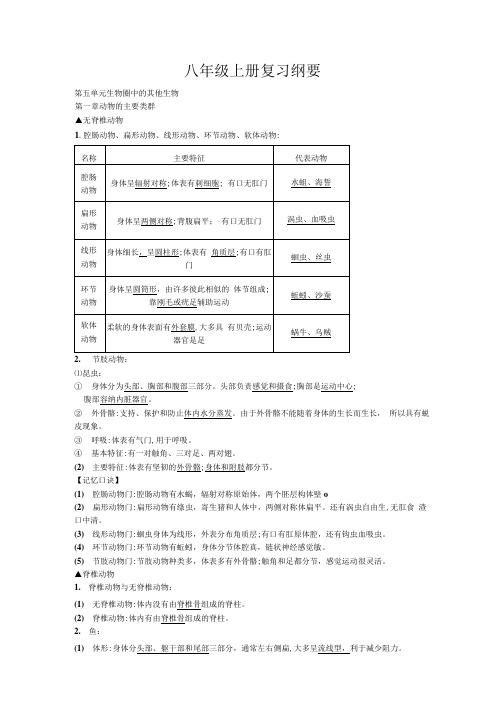 八年级生物上复习纲要.docx