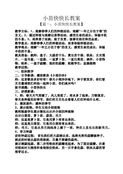 小苗快快长教案