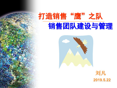 打造销售鹰之队-73页精选文档