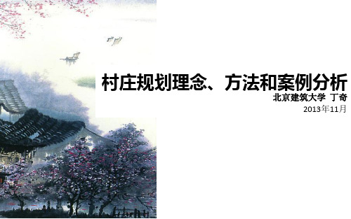 丁奇 村庄规划理念 方法及案例分析 
