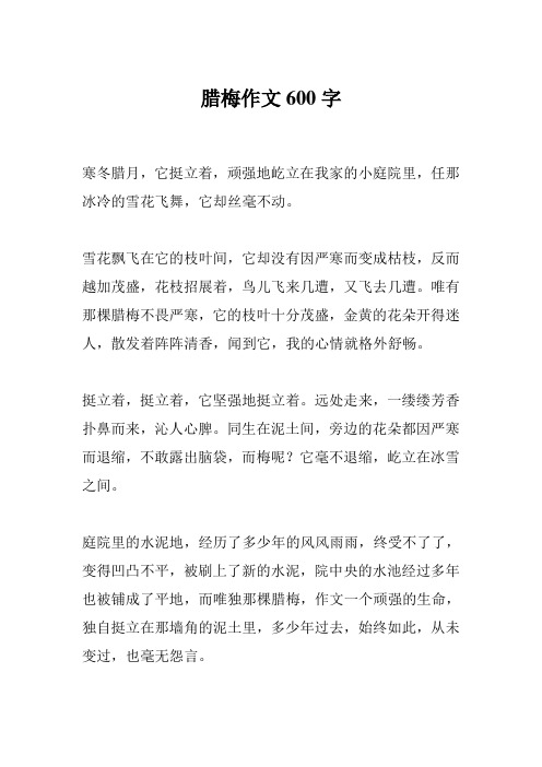腊梅作文600字
