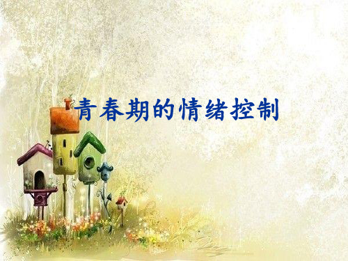 青春期的情绪控制ppt课件
