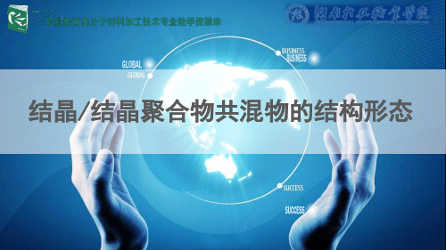 结晶与结晶聚合物共混物的结构形态.