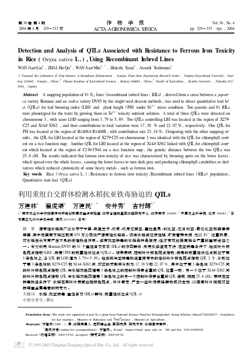利用重组自交群体检测水稻抗亚铁毒胁迫的QTLs