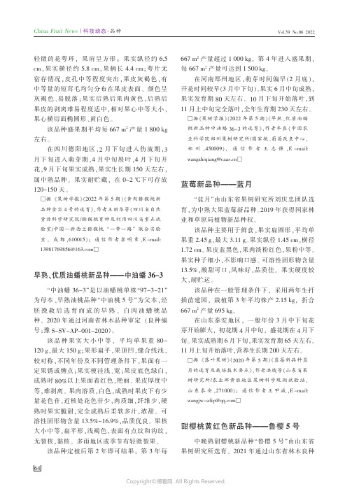 甜樱桃黄红色新品种——鲁樱5号