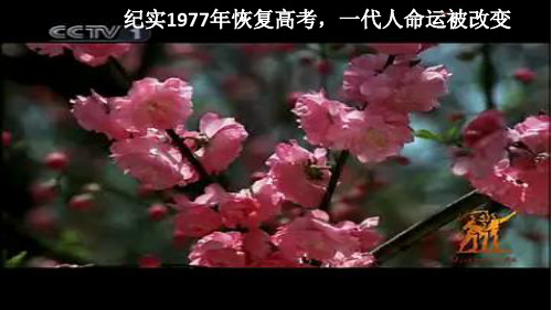 岳麓版高中历史必修三 第28课 国运兴衰,系于教育 上课课件