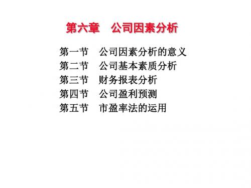 第6章 公司因素分析