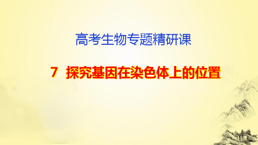 高考生物专题精研课7  探究基因在染色体上的位置