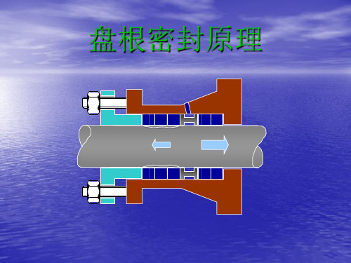 盘根密封ppt课件