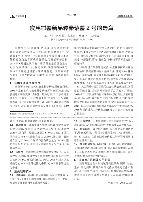 食用甘薯新品种秦紫薯2号的选育
