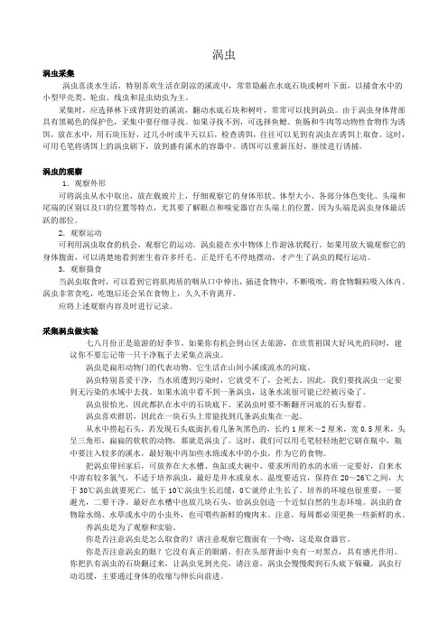 八年级生物新人教版涡虫