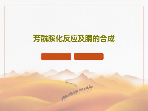 芳酰胺化反应及腈的合成PPT文档65页