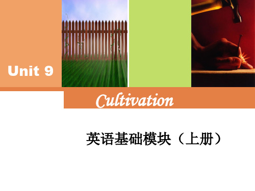 unit 9cultivation整单元TMN