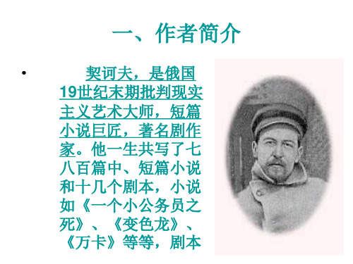 高一语文装在套子里的人(PPT)5-4