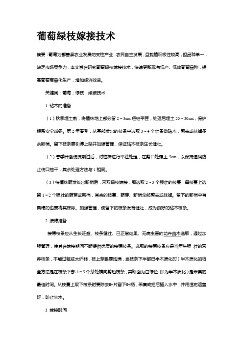 葡萄绿枝嫁接技术