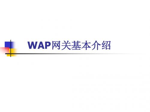 WAP及WAP网关的基本介绍(20110327)