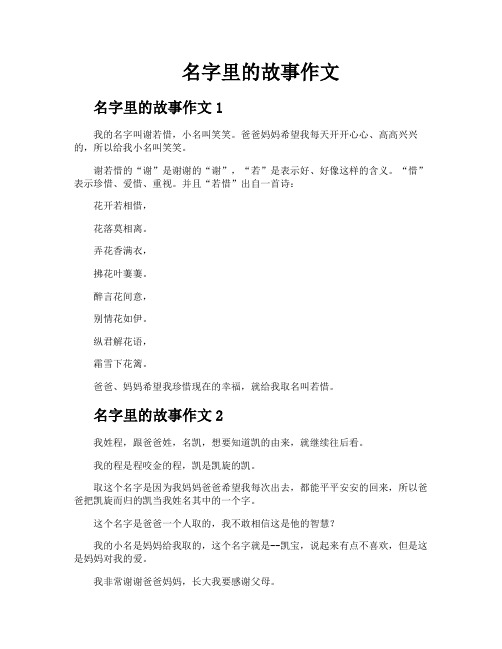 名字里的故事作文