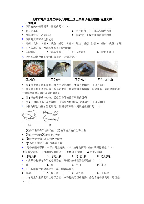 北京市通州区第三中学八年级上册上学期试卷及答案-百度文库