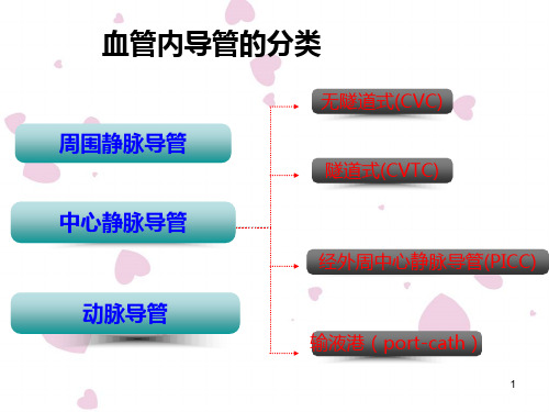 中心静脉导管centralvenouscatheter精品PPT课件
