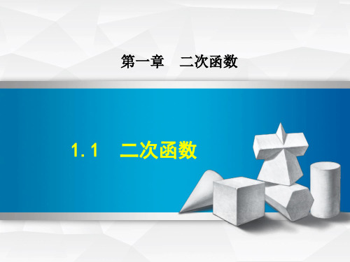 浙教版九年级数学上册：1.1  二次函数 (共28张PPT)
