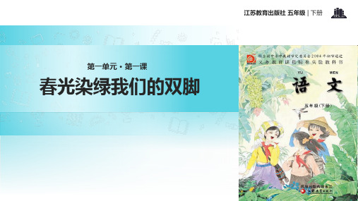 春光染绿我们双脚  PPT课件
