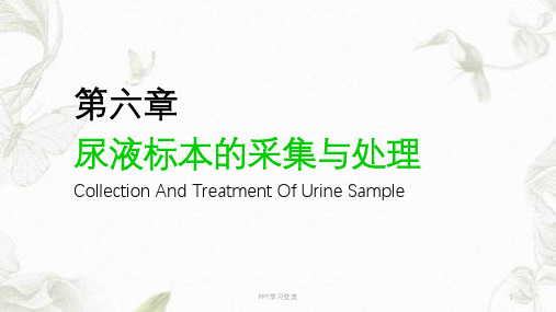 尿液标本的采集与处理ppt课件