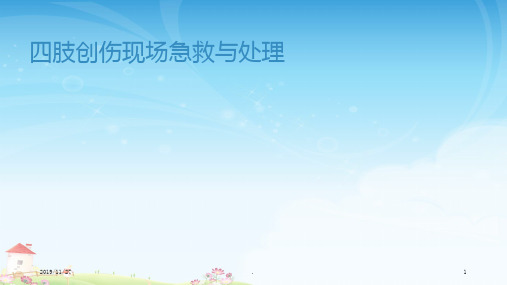 四肢创伤现场急救与处理PPT课件