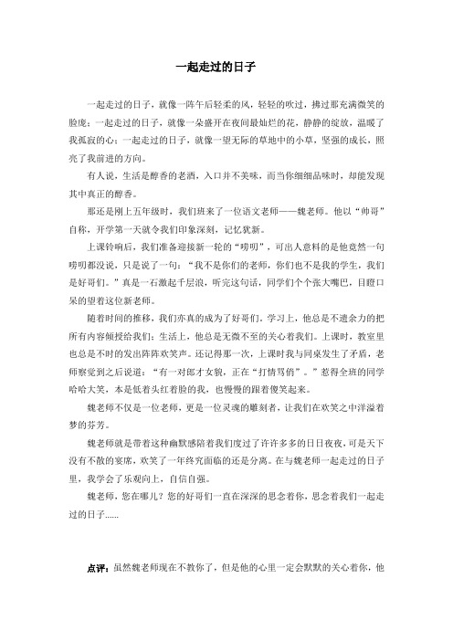 作文一起走过的日子点评
