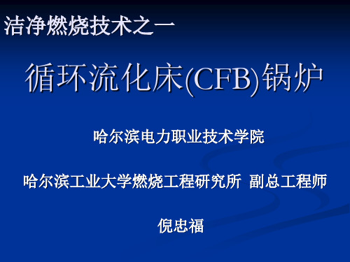 循环流化床(CFB)