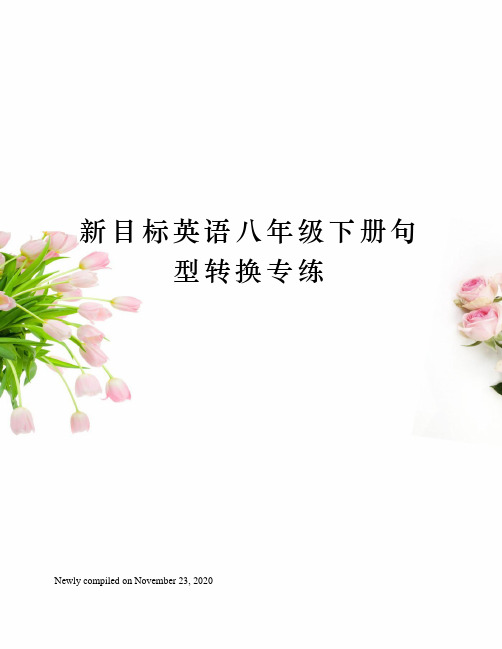 新目标英语八年级下册句型转换专练