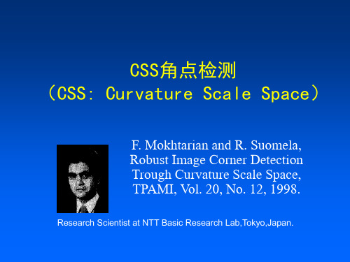 CSS角点检测