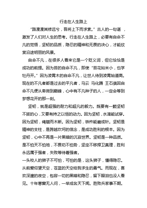 高中作文：行走在人生路上