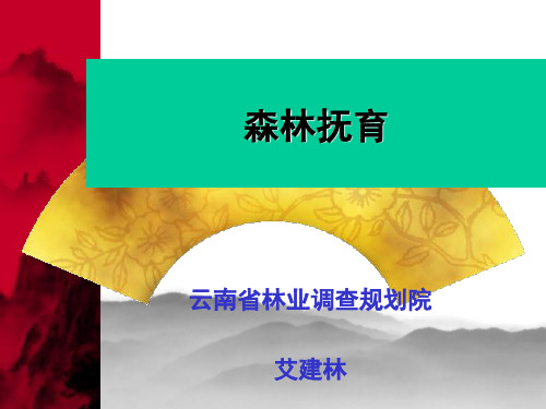 森林抚育