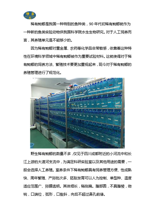 稀有鮈鲫养殖单元