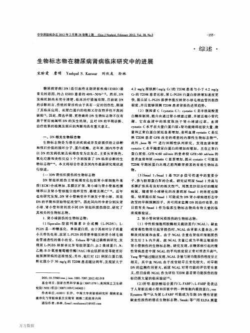 生物标志物在糖尿病肾病临床研究中的进展
