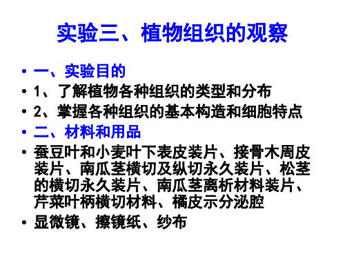 试验植物组织的观察