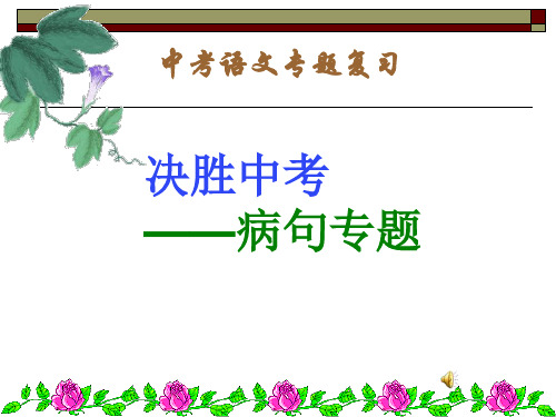 中考语文复习修改病句专题课件