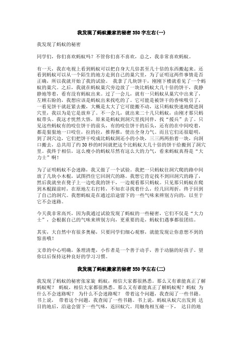 我发现了蚂蚁搬家的秘密350字左右