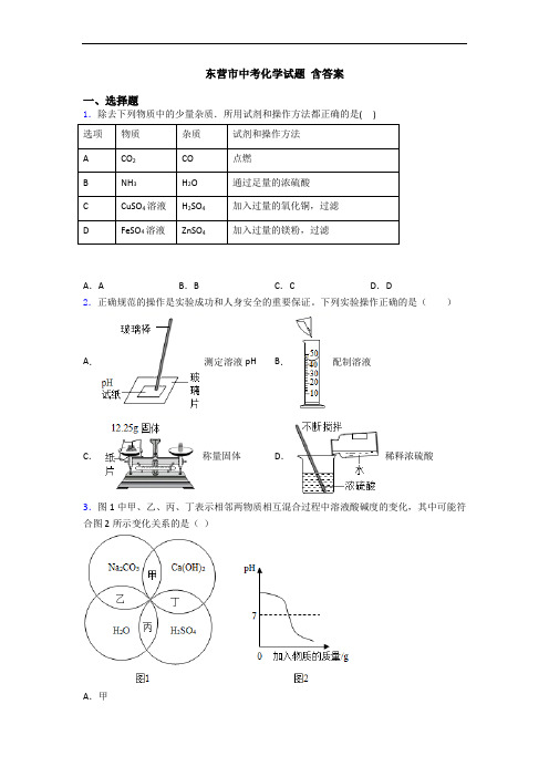 东营市中考化学试题 含答案